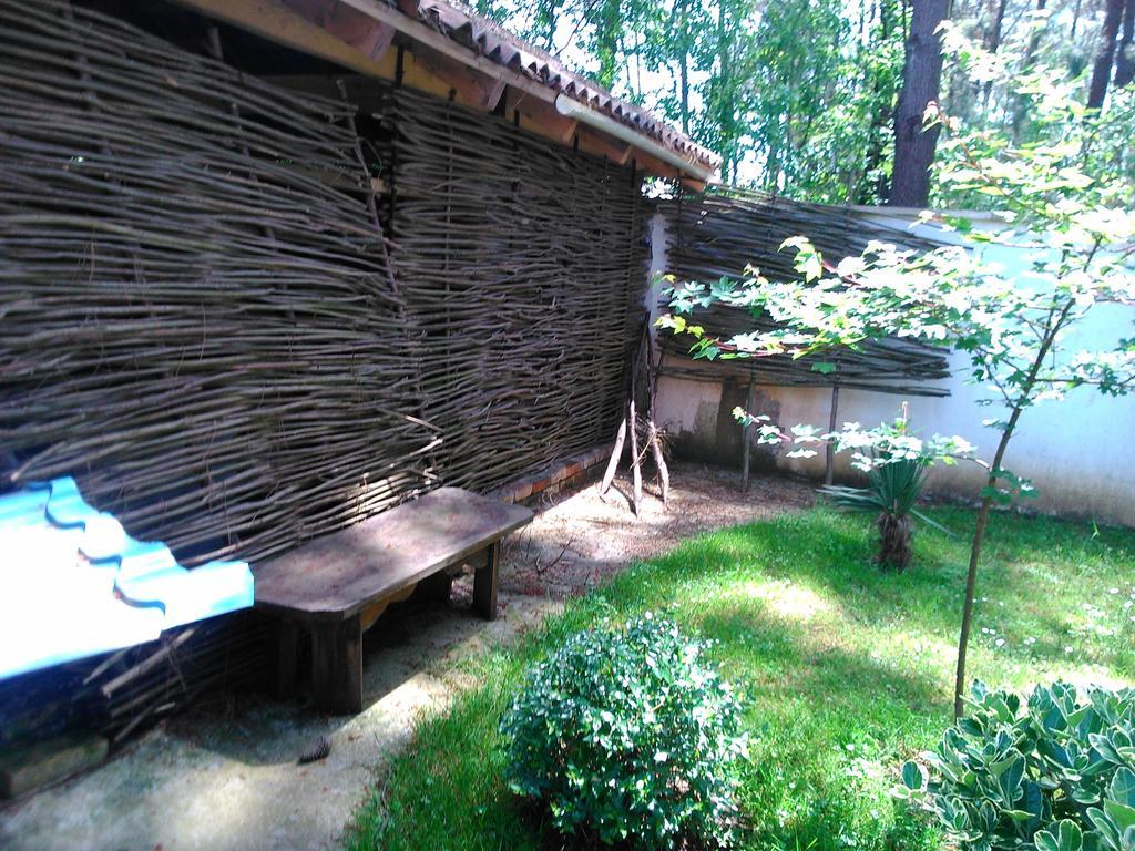 Kolkhida Resort & Spa อูเรคี ภายนอก รูปภาพ